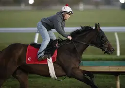 Breeders' Cup Clocker: Nitrogen returns to tab with easy half-mile