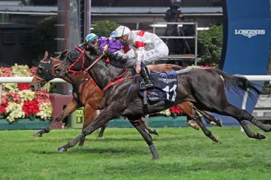 Declan Schuster's Hong Kong Selections and Analysis for Sunday, November 26, 2023