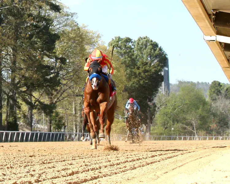 DESERT GATE - The Hot Springs Stakes - 03-26-26 - R08 - Oaklawn Park - Under Rail 01 - Renee Torbit.jpg