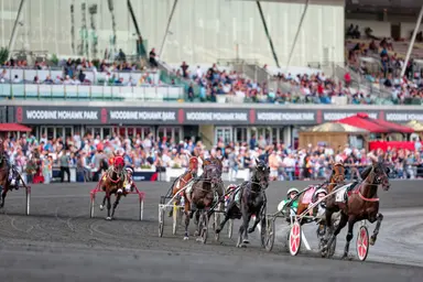 Woodbine Mohawk Park:  Stakes in abundance on Friday, Saturday