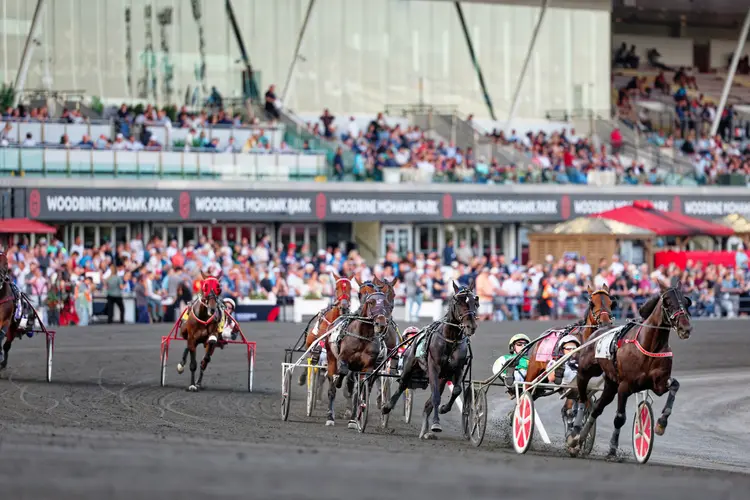 Woodbine Mohawk Park crowd 2026_New Image