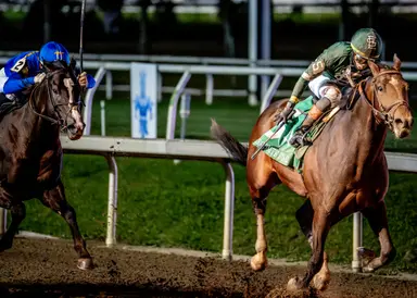 Kentucky Derby pedigree profile: Golden Tempo