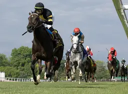 Rhetorical should be fine for Fourstardave
