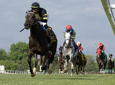Rhetorical should be fine for Fourstardave