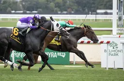 Egyptian Mau parlays rail trip into Belmont Turf Sprint Stakes upset