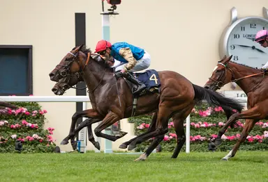 Ireland: Thundering On back against 3-year-olds in Irish Oaks