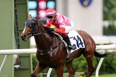 David Hayes edges closer to John Size in trainers’ championship with treble