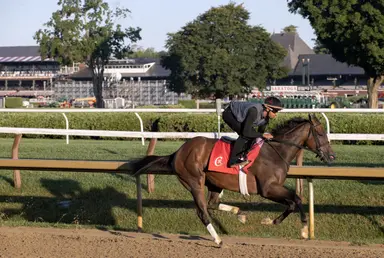 Nitrogen back on tab; Sandman works for return