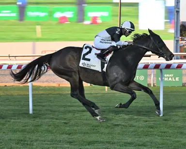 Awesome Czech notches second consecutive Ticonderoga Stakes