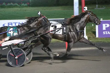 Meadowlands:  Apex, Madam Cheval best in NJ Sire Stakes Platinum finals
