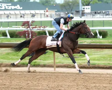 Commonwealth joins Simply Joking ownership