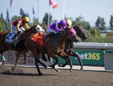 Souped Up upsets Bold Venture for first stakes win