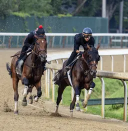 DeVaux not worried about fitness, as Golden Tempo breezes for Travers