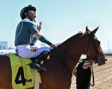 Call the Bullpen well spotted for stakes breakthrough in Miss Gracie