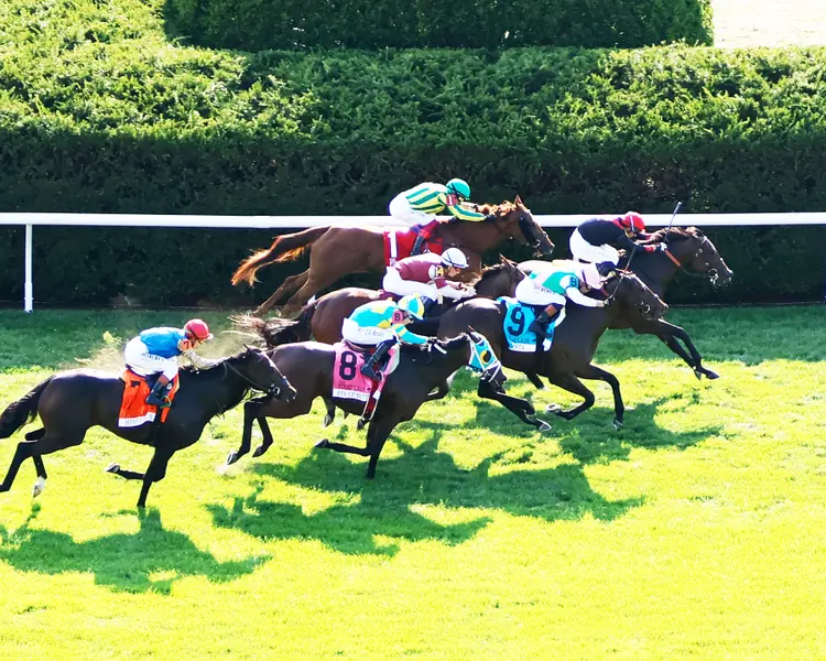 SIMPLY IN FRONT - The First Lady G1 - 10-04-25 - R08 - Keeneland Race Course - Aerial Finish 01 - Cathy Allinikov.jpg