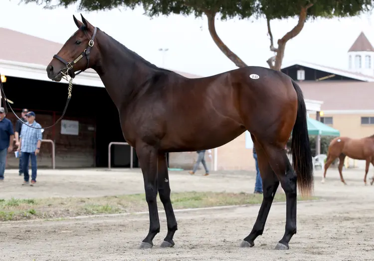 FTSALE.Hip10 01.9-28-21.FT