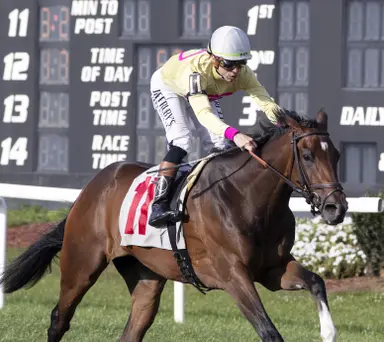 Brown pointing flashy maiden winner Parfois to Edgewood