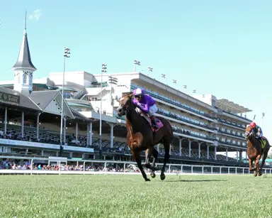 Ward's Royal Ascot brigade could feature seven runners