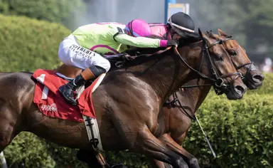 Dead heat: Zulu Kingdom, Mi Bago inseparable at Kelso's wire
