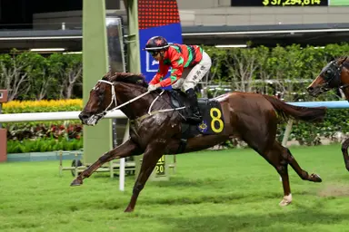 Tycoon Resources maintains perfect record as Cruz doubles up at Happy Valley