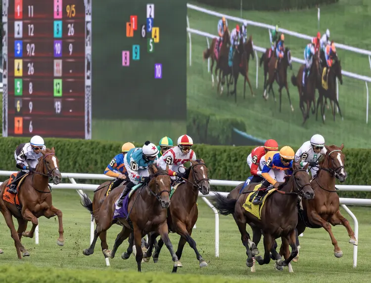 Saratoga.turf first pass scenic.08-20-23.DRO_.jpg