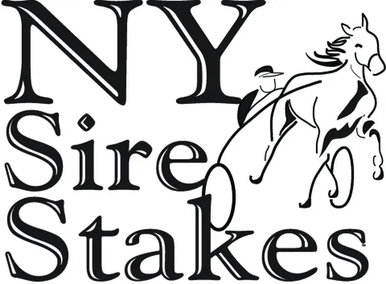 NYSS.jpg
