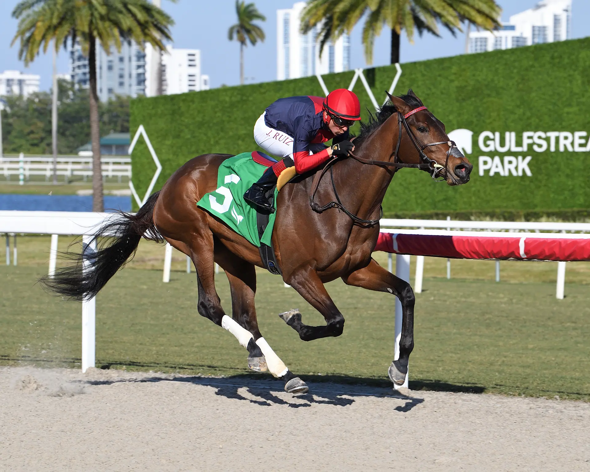 Motion cuts back Bless Her in Sands Point as stepping-stone to Jockey Club Oaks