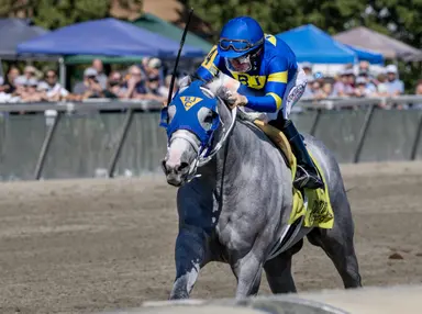 Pegasus offers Haskell berths to group looking for first stakes win
