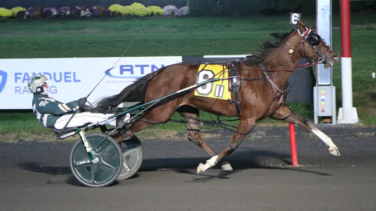Prtynproud Hanover 11-1-25