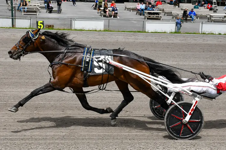 Spencer Hanover 5-25-26