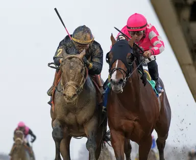 Sierra Leone, Dornoch to meet again in Blue Grass Stakes