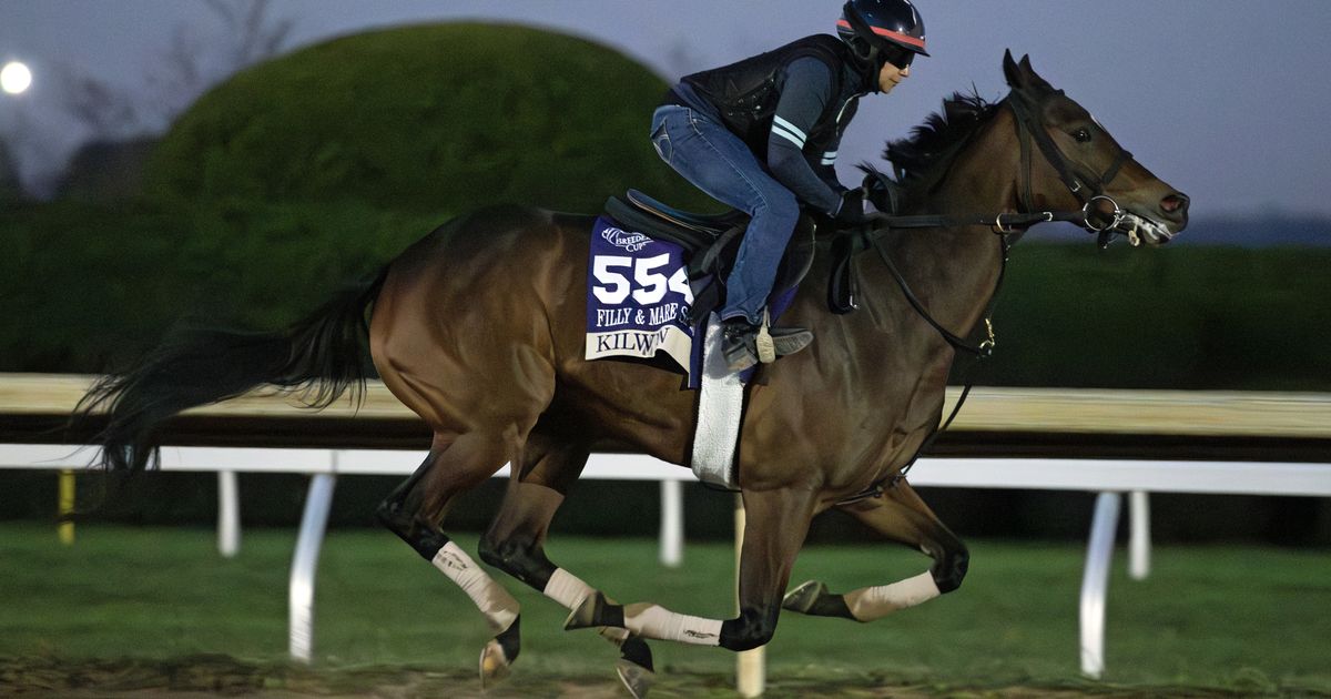 Keeneland November sale: Kilwin set for another trip through ring