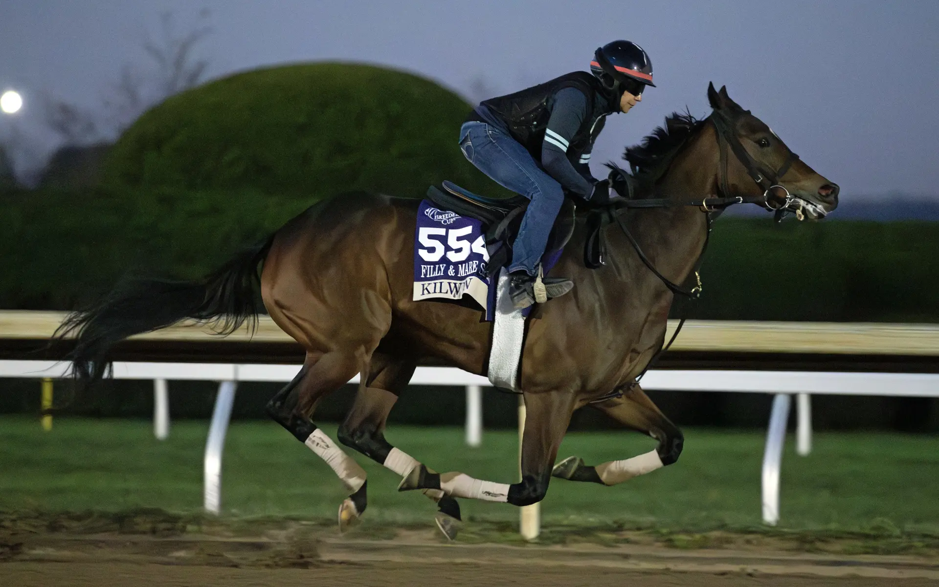 Keeneland November sale: Kilwin set for another trip through ring