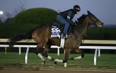 Keeneland November sale: Kilwin set for another trip through ring