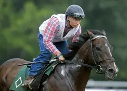 Sovereignty goes into loaded Whitney Stakes with something to prove