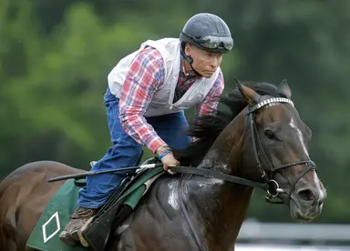 Sovereignty goes into loaded Whitney Stakes with something to prove