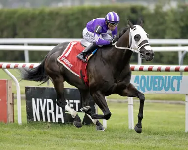 Waralo at home on grass in Ashley T. Cole Stakes