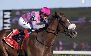 Jean Valjean's rally pays off in Disco Partner