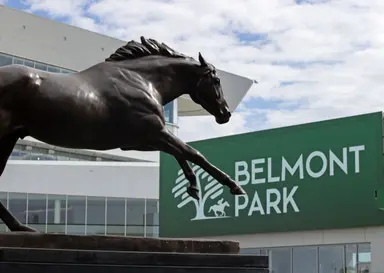 DRF's Horse Racing Playbook for Thursday, Sept. 24, 2026