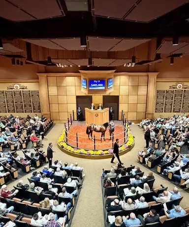 Harness: Consignors weigh in on 2026 Lexington Selected Sale changes and market factors