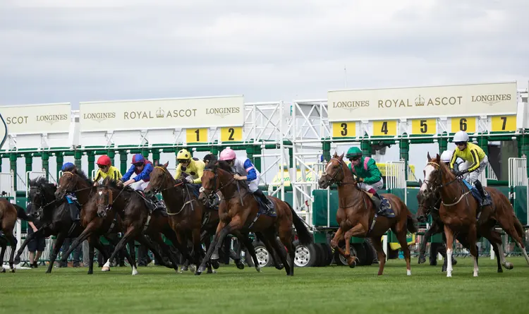 Royal Ascot scenic04.06-17-26.JUW