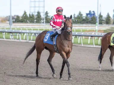 Charmingly Evasive shoots for third straight win, this time on turf