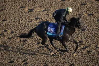 After Sunland Derby consideration, Sharons Beach stays put