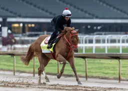 The Puma on schedule for Haskell Stakes