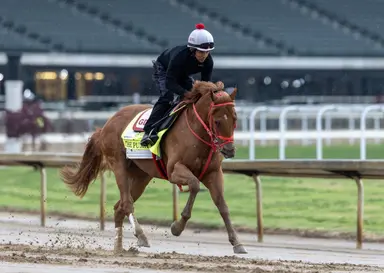 The Puma on schedule for Haskell Stakes