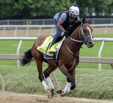 Preakness: Mystik Dan enjoys the calm in routine gallop