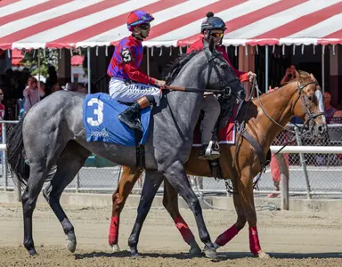 New York-bred turfers in the spotlight with pair of allowances