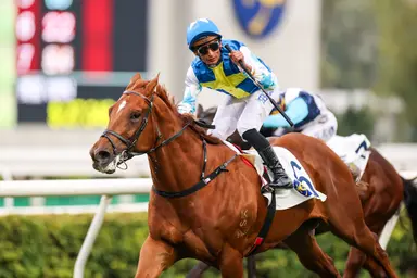 Patch Of Theta rises for Stewards’ Cup as Triple Crown kicks off