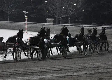 Meadowlands: MacKenzie seeks better trips, results on Saturday card