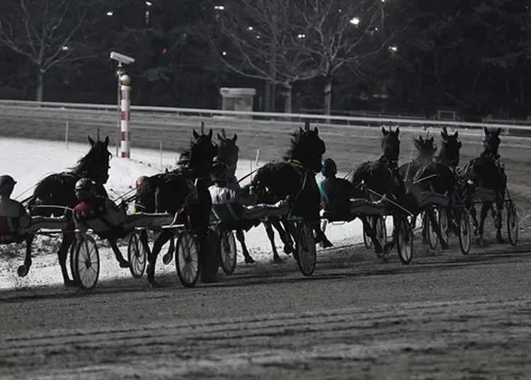 Meadowlands stock photo 12-30-23